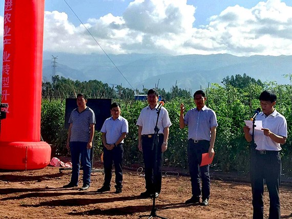 云南省水网建设现场推进会楚雄州元谋县高效节水项目现场会顺遂举行 - 威廉希尔williamhill新闻 - 新闻中心 - nbsp,项目,节水,元谋县,元谋,水网,建设,高效,楚雄
