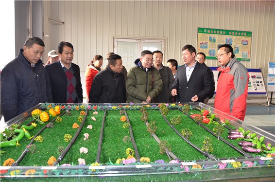 中信建设、农业部外经中心第二支部及威廉希尔williamhill节水集团纪念长征胜利80周年，，，，，走好农业对外相助的新长征路联学共建活动顺遂举行 - 威廉希尔williamhill新闻 - 新闻中心 - nbsp,威廉希尔williamhill,节水,农业,中信,建设,中心,外经,农业部