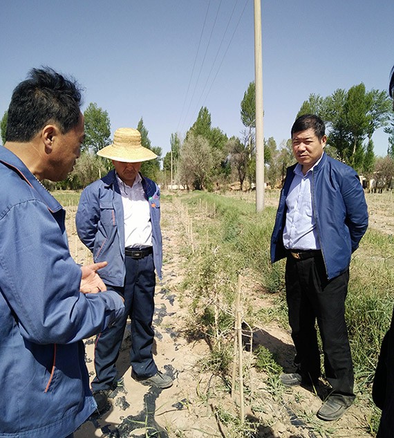 集团公司总裁谢永生到公司黑枸杞莳植基地及项目树模区检查指导事情 - 威廉希尔williamhill新闻 - 新闻中心 - nbsp,树模区,项目,枸杞,莳植,基地,永生,谢永生,公司