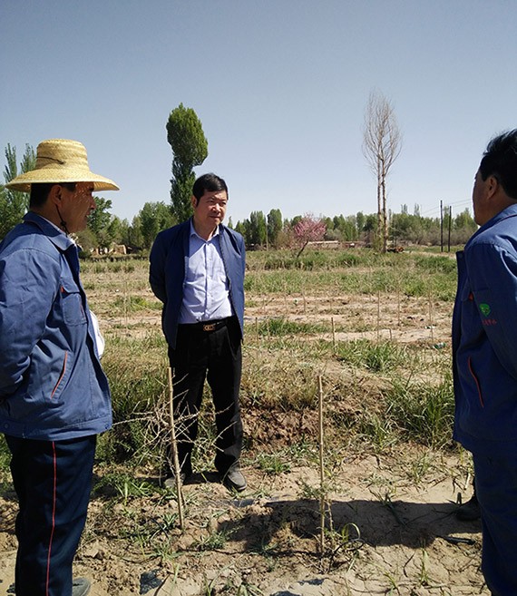 集团公司总裁谢永生到公司黑枸杞莳植基地及项目树模区检查指导事情 - 威廉希尔williamhill新闻 - 新闻中心 - nbsp,树模区,项目,枸杞,莳植,基地,永生,谢永生,公司