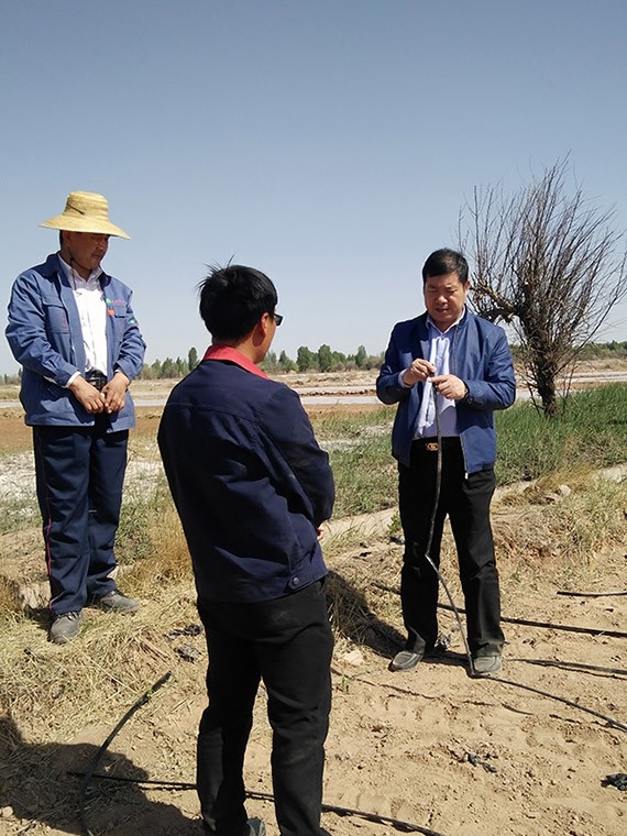 集团公司总裁谢永生到公司黑枸杞莳植基地及项目树模区检查指导事情 - 威廉希尔williamhill新闻 - 新闻中心 - nbsp,树模区,项目,枸杞,莳植,基地,永生,谢永生,公司