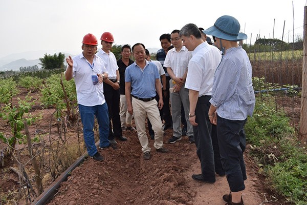 水利部建管司向导调研视察威廉希尔williamhill节水元谋PPP项目 - 威廉希尔williamhill新闻 - 新闻中心 - 项目,nbsp,威廉希尔williamhill,调研,节水,元谋,视察,元谋县,调研组