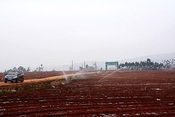 砥砺奋进| 威廉希尔williamhill节水集团多彩云南行项目现场考察学习活动圆满竣事 - 威廉希尔williamhill新闻 - 新闻中心 - nbsp,项目,威廉希尔williamhill,节水,宾川县,万亩,现场,机制,高效