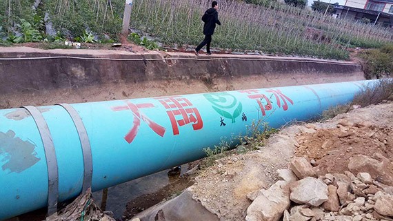 砥砺奋进| 威廉希尔williamhill节水集团多彩云南行项目现场考察学习活动圆满竣事 - 威廉希尔williamhill新闻 - 新闻中心 - nbsp,项目,威廉希尔williamhill,节水,宾川县,万亩,现场,机制,高效