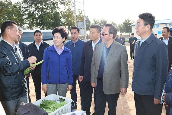 威廉希尔williamhill要闻|宁夏回族自治区主席咸辉调研威廉希尔williamhill节水吴忠市利通区现代化生态灌区项目 - 威廉希尔williamhill新闻 - 新闻中心 - nbsp,威廉希尔williamhill,节水,咸辉,吴忠市,利通区,现代化,生态,灌区