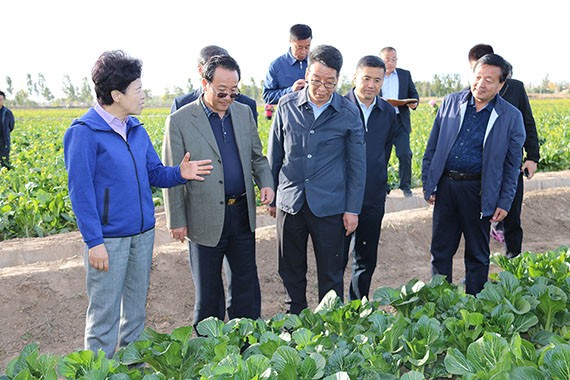 威廉希尔williamhill要闻|宁夏回族自治区主席咸辉调研威廉希尔williamhill节水吴忠市利通区现代化生态灌区项目 - 威廉希尔williamhill新闻 - 新闻中心 - nbsp,威廉希尔williamhill,节水,咸辉,吴忠市,利通区,现代化,生态,灌区