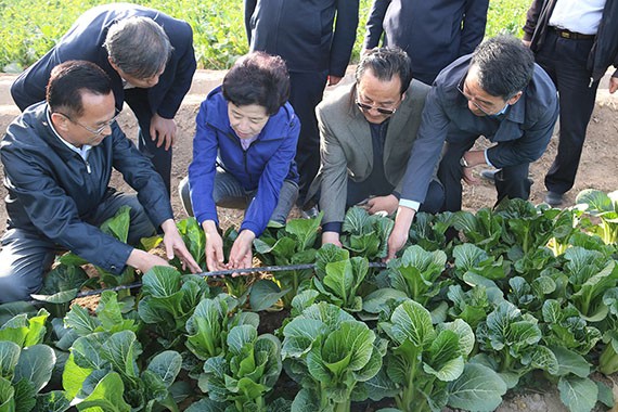 威廉希尔williamhill要闻|宁夏回族自治区主席咸辉调研威廉希尔williamhill节水吴忠市利通区现代化生态灌区项目 - 威廉希尔williamhill新闻 - 新闻中心 - nbsp,威廉希尔williamhill,节水,咸辉,吴忠市,利通区,现代化,生态,灌区