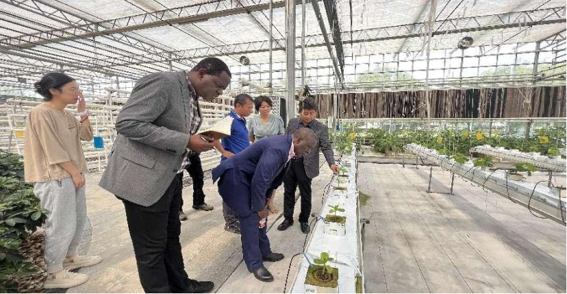 威廉希尔williamhill动态| 赞比亚农业部部长一行考察威廉希尔williamhill节水集团 - 威廉希尔williamhill新闻 - 新闻中心 - 赞比亚,威廉希尔williamhill,节水,部长,集团,农业,农业部,考察,一行