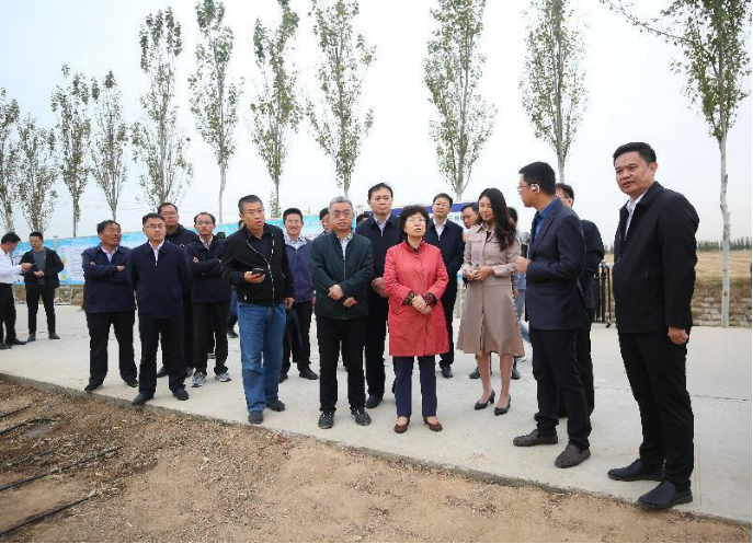 威廉希尔williamhill动态丨水利部副部长朱程清一行调研威廉希尔williamhill节水实验的齐河豆腐窝水价综合刷新试点情形 - 威廉希尔williamhill新闻 - 新闻中心 - 威廉希尔williamhill,节水,刷新,水价,灌区,齐河,豆腐,综合,调研