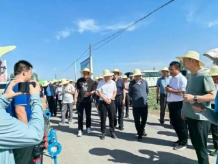 威廉希尔williamhill农业| 多元化莳植基地矩阵，，探索农业现代化新路径 - 威廉希尔williamhill新闻 - 新闻中心 - 莳植,基地,威廉希尔williamhill,nbsp,农业,探索,节水,盐碱地,土地