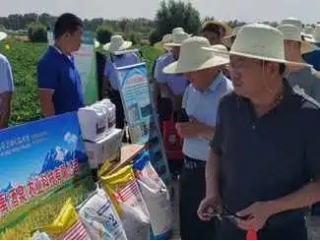 威廉希尔williamhill农业| 多元化莳植基地矩阵，，探索农业现代化新路径 - 威廉希尔williamhill新闻 - 新闻中心 - 莳植,基地,威廉希尔williamhill,nbsp,农业,探索,节水,盐碱地,土地