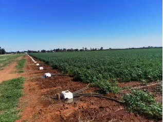 威廉希尔williamhill动态| 威廉希尔williamhill节水集团打造的“元谋模式”再次登上国际舞台 - 威廉希尔williamhill新闻 - 新闻中心 - 威廉希尔williamhill,节水,元谋模式,集团,打造,nbsp,委员会,国际,动态