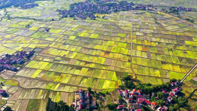 江西省南丰县2020年统筹整合资金推进高标准农田建设项目 - 模式立异 - 解决方案 - 农田,高标准,丰县,耕地,推进,建设,江西省,2020年