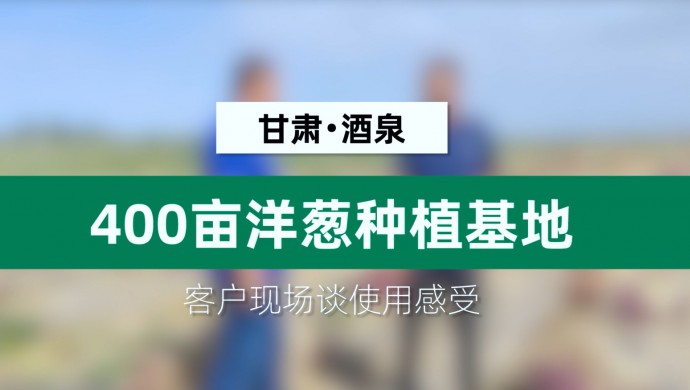 甘肃酒泉400亩洋葱莳植基地客户现场谈使用感受