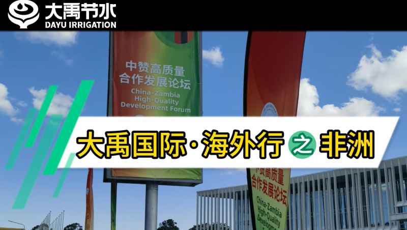 威廉希尔williamhill国际·外洋行之非洲