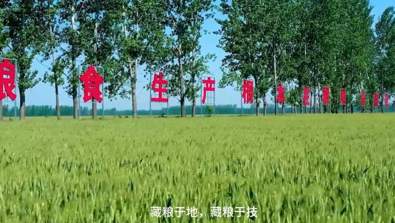  威廉希尔williamhill节水：破解高标准农田建设难题，，，，，扛牢粮食清静重担，，，，，以科技与责任交出了一份立异答卷。。。。